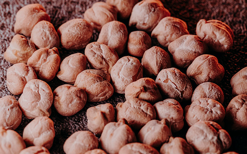 صادرات حبوبات